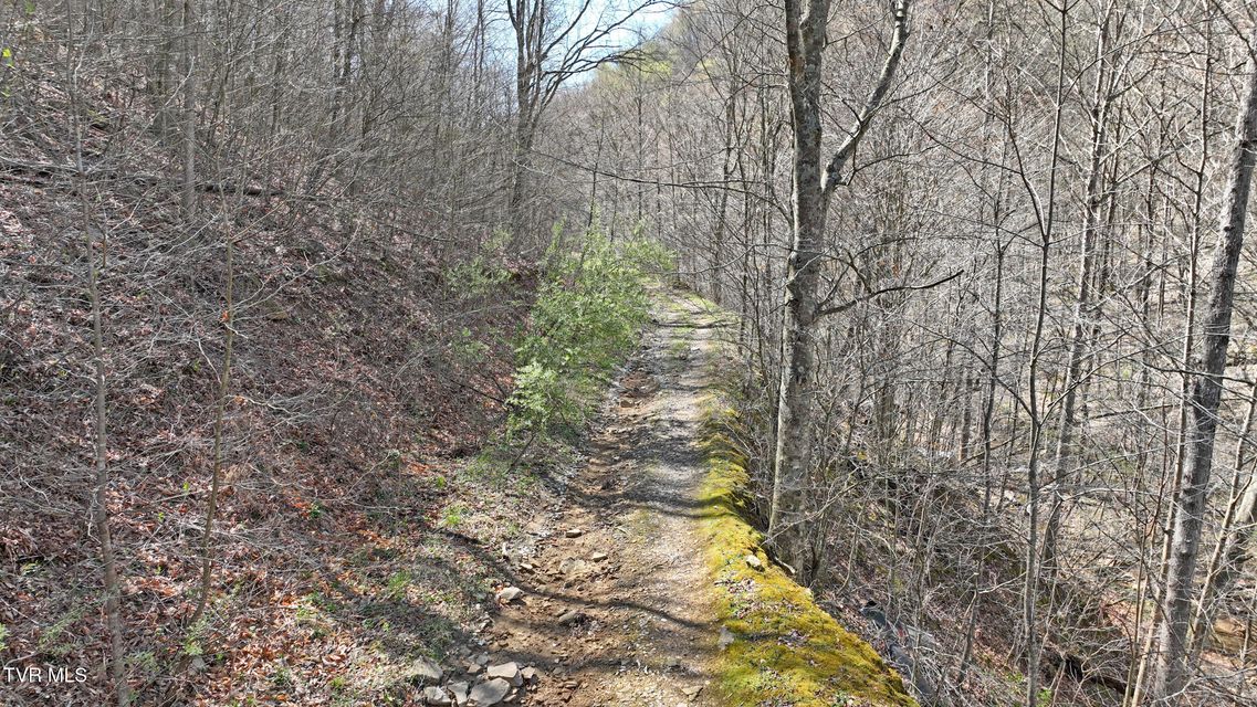Photo #12: 0 Guesses Fork