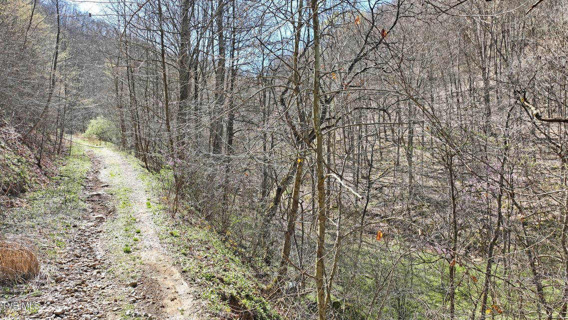 Photo #13: 0 Guesses Fork