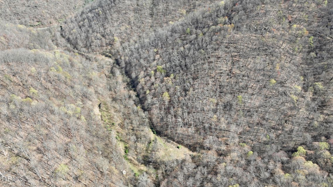 Photo #19: 0 Guesses Fork