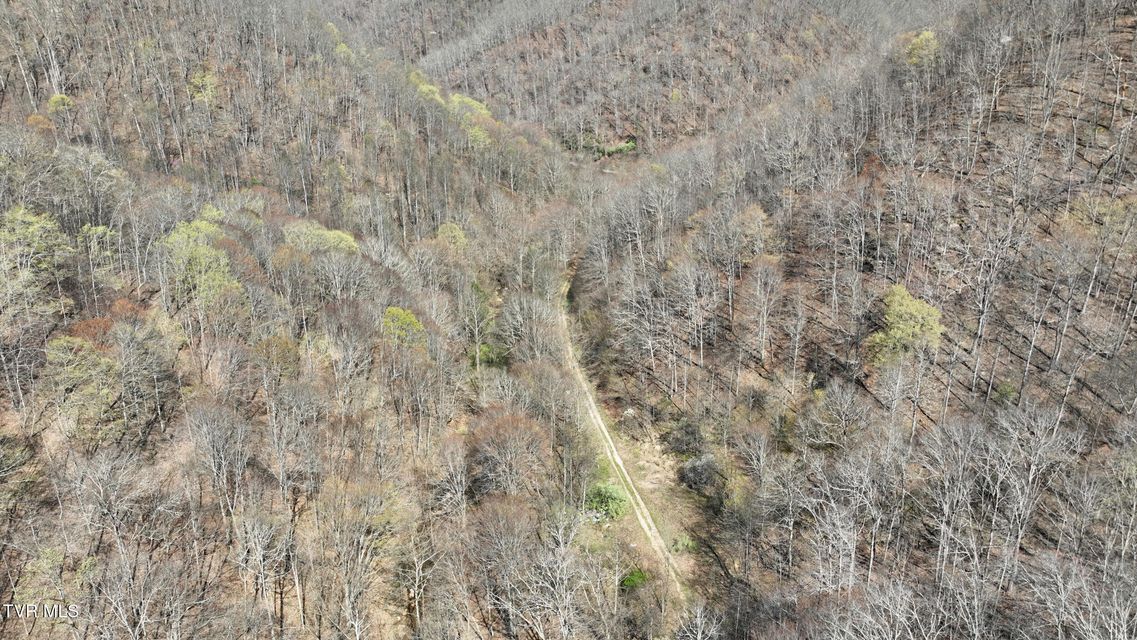 Photo #24: 0 Guesses Fork