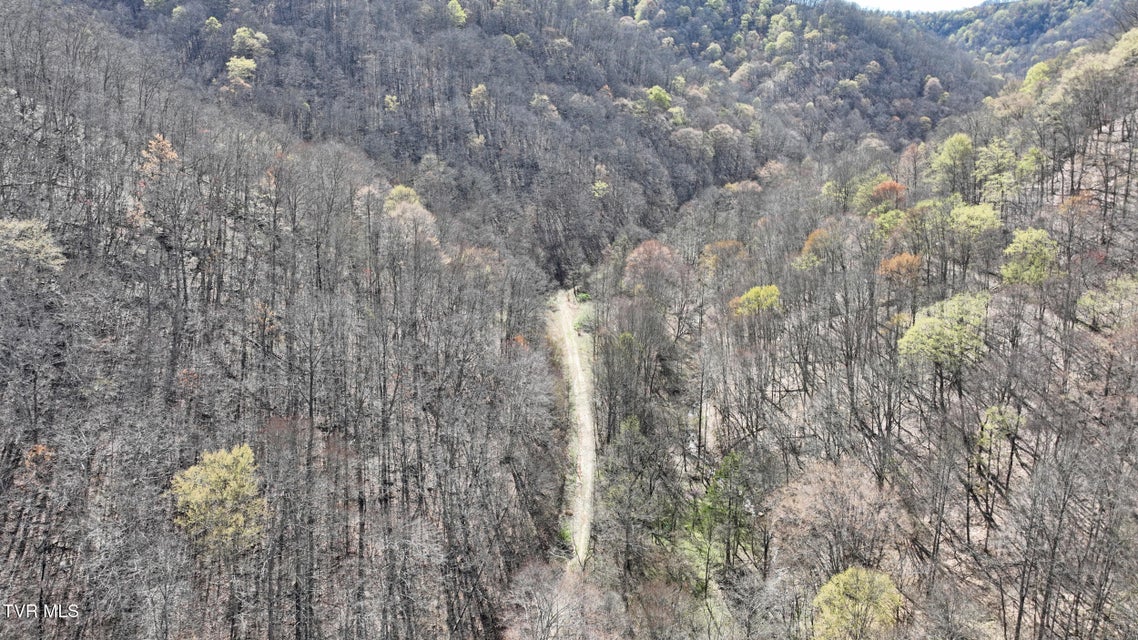 Photo #27: 0 Guesses Fork