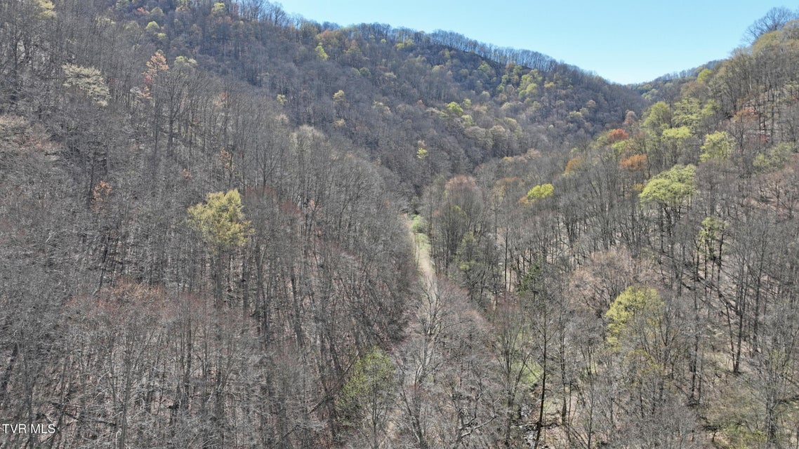 Photo #28: 0 Guesses Fork