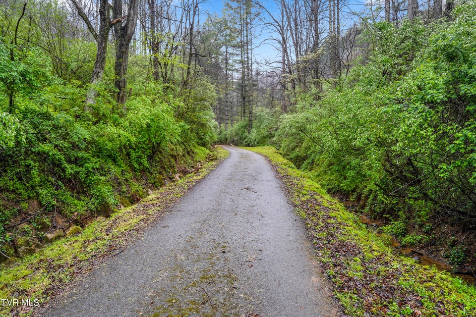 Photo #23: 0 Gilliam Hollow Road