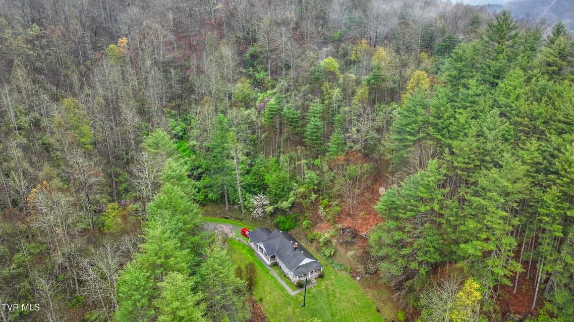 Photo #24: 0 Gilliam Hollow Road
