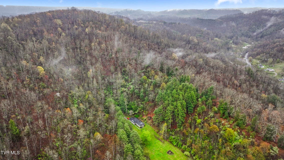 Photo #26: 0 Gilliam Hollow Road