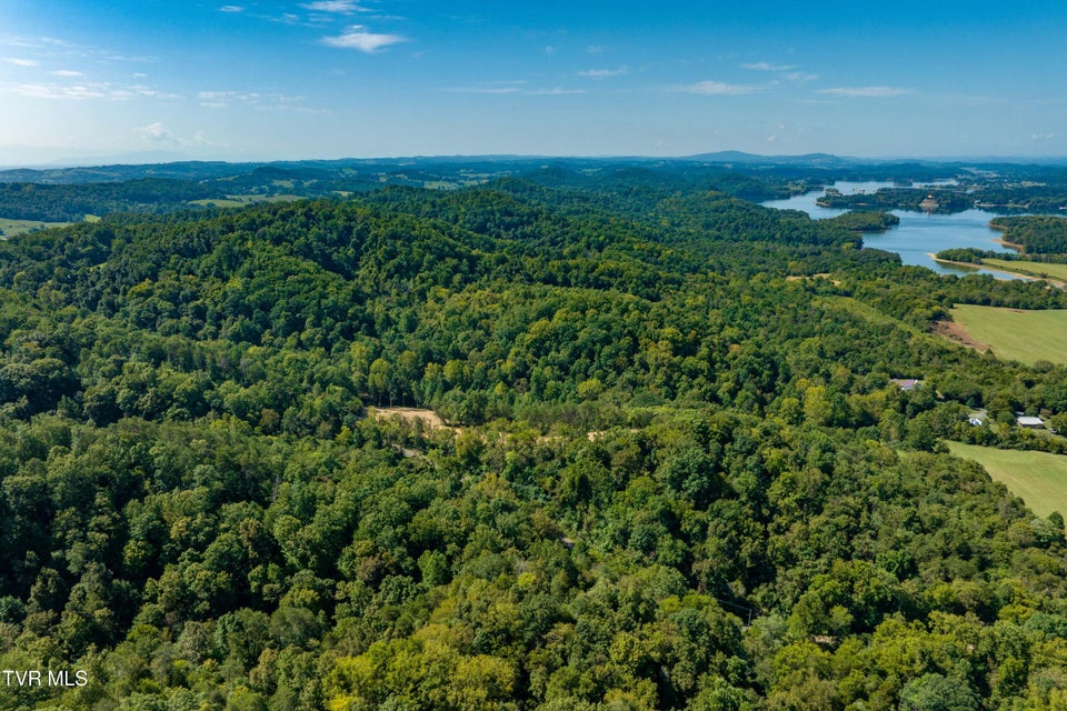 Photo #12: Tbd Ninny Ridge Rd