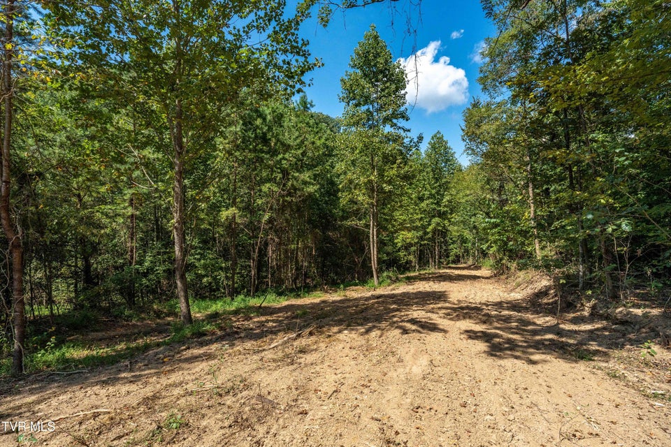 Photo #16: Tbd Ninny Ridge Rd