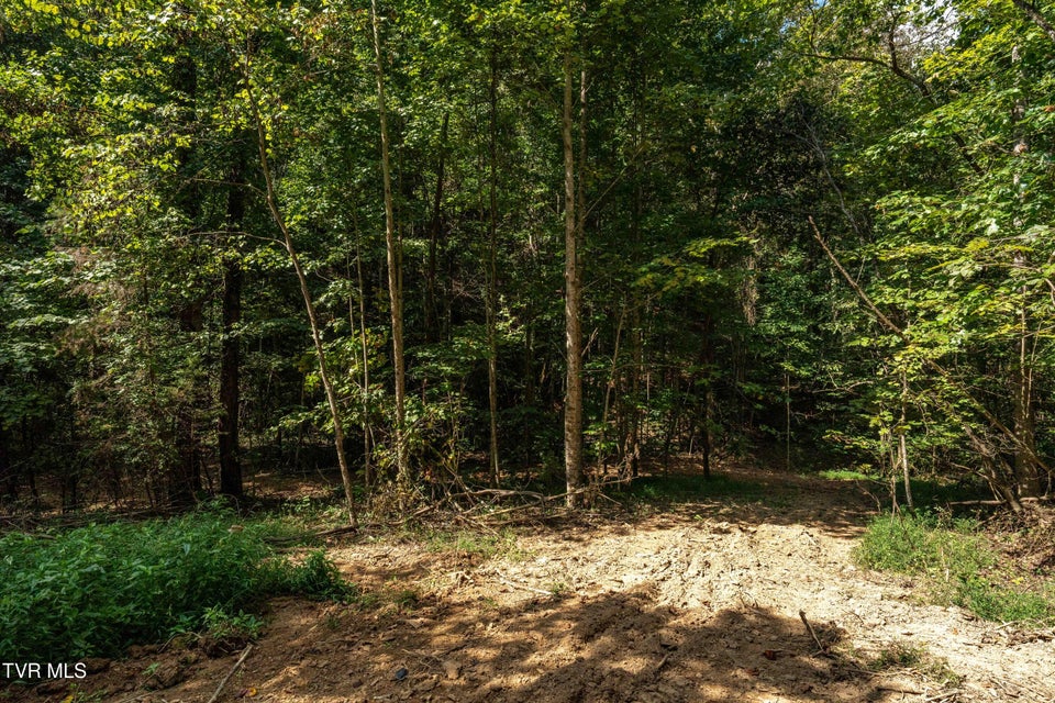 Photo #17: Tbd Ninny Ridge Rd