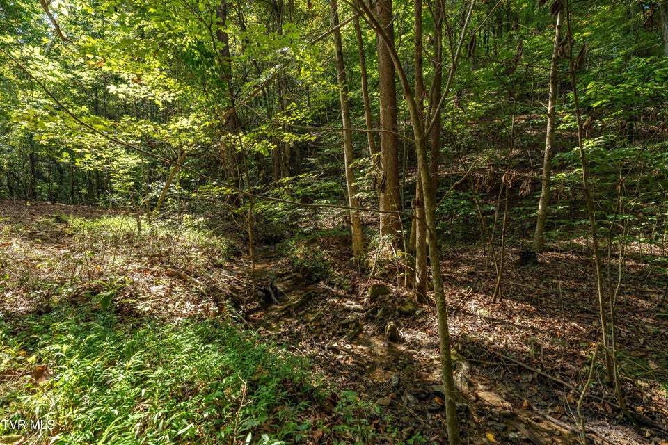 Photo #18: Tbd Ninny Ridge Rd
