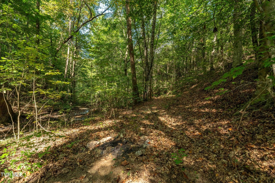 Photo #19: Tbd Ninny Ridge Rd