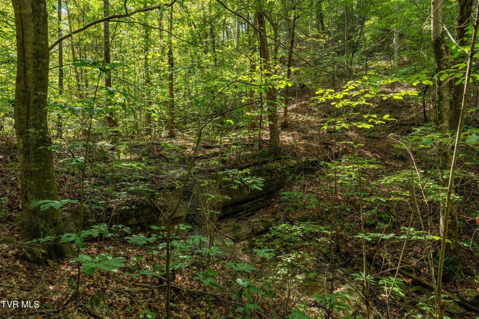 Photo #20: Tbd Ninny Ridge Rd