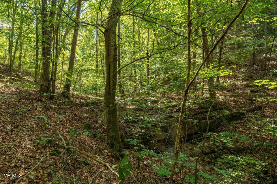 Photo #21: Tbd Ninny Ridge Rd