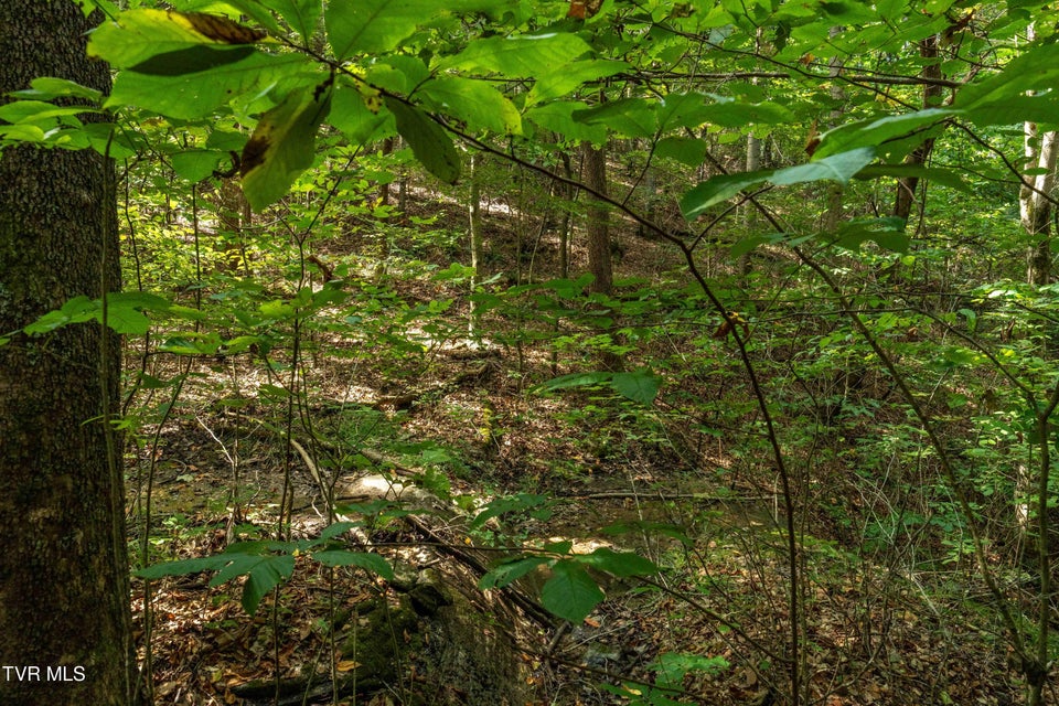 Photo #23: Tbd Ninny Ridge Rd