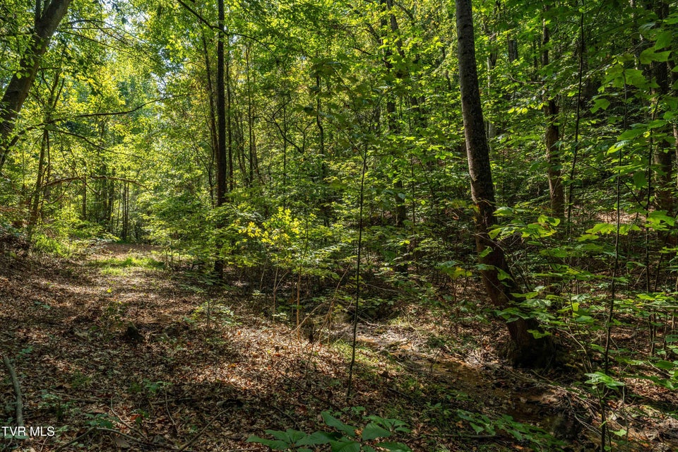 Photo #24: Tbd Ninny Ridge Rd