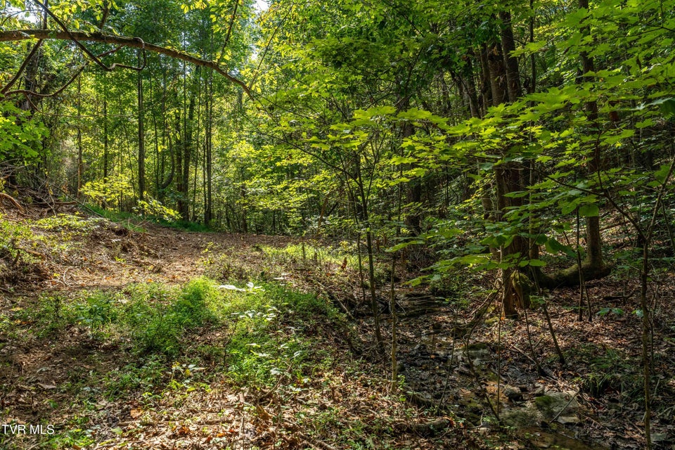 Photo #25: Tbd Ninny Ridge Rd