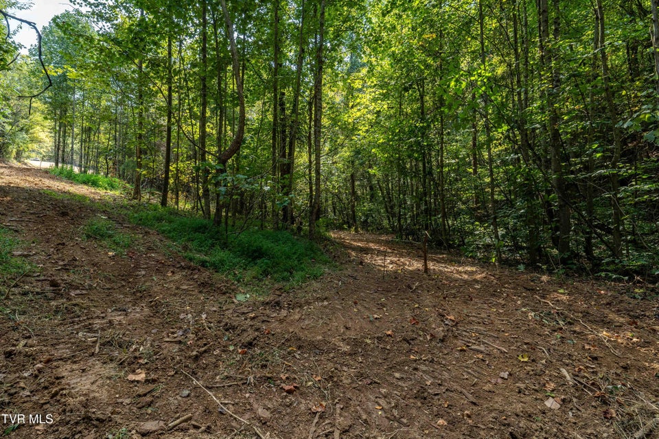 Photo #26: Tbd Ninny Ridge Rd
