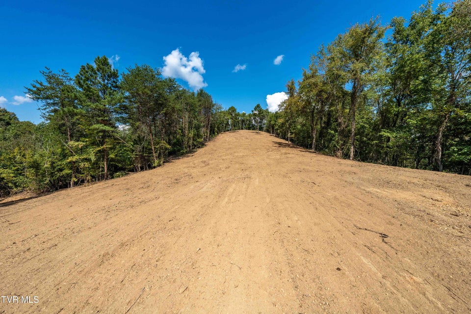 Photo #47: Tbd Ninny Ridge Rd
