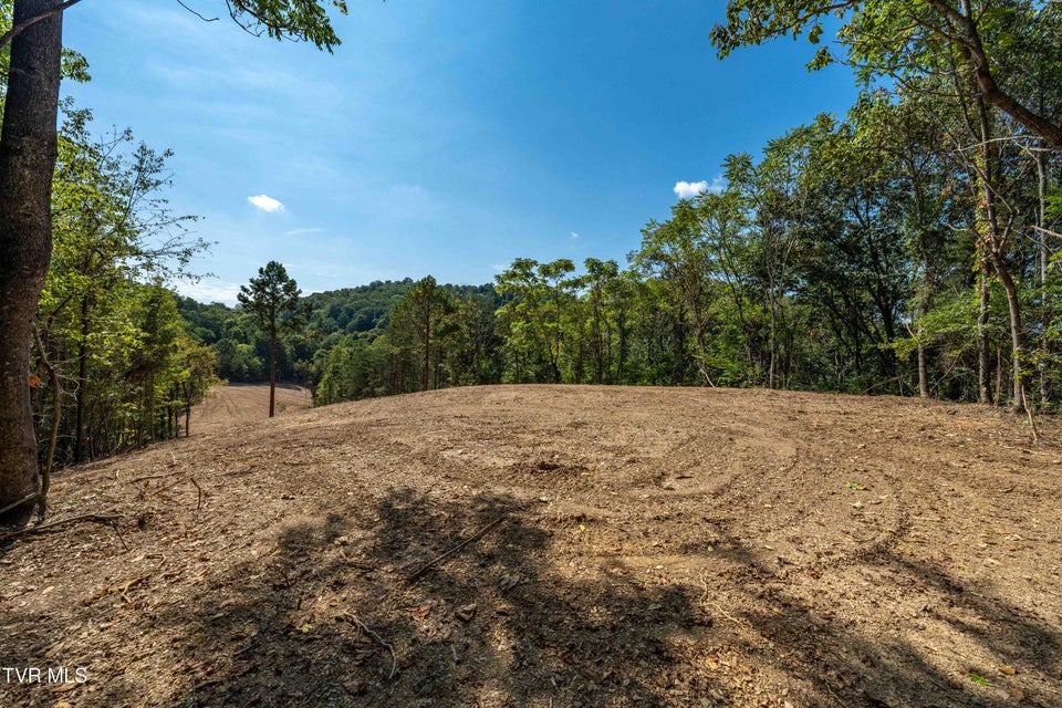 Photo #50: Tbd Ninny Ridge Rd