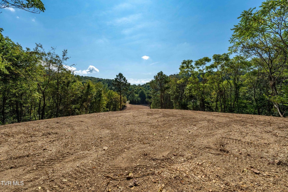 Photo #51: Tbd Ninny Ridge Rd