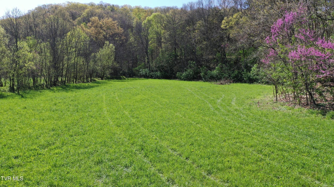 Photo #12: 0 Vfw Road