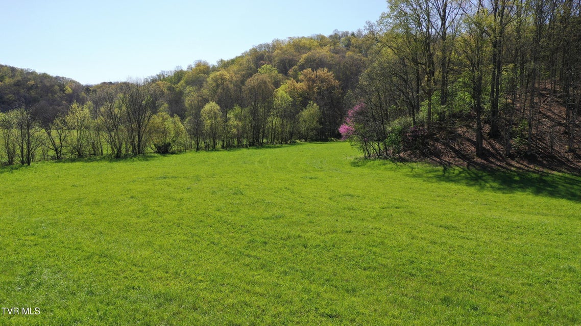Photo #17: 0 Vfw Road