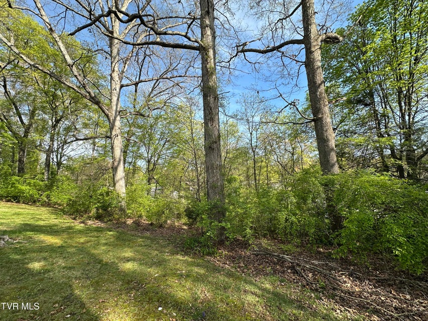 Photo #82: 245 De Lee Drive