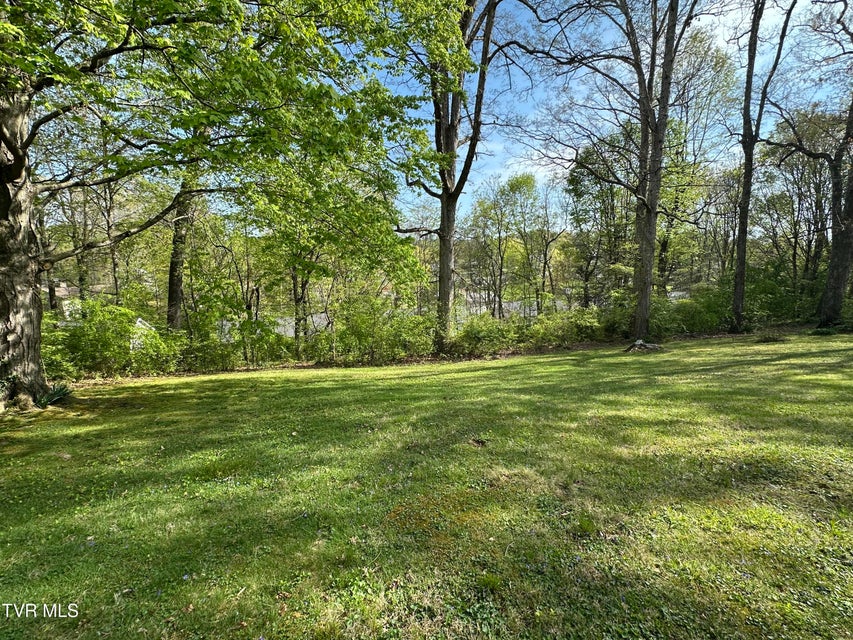 Photo #66: 245 De Lee Drive