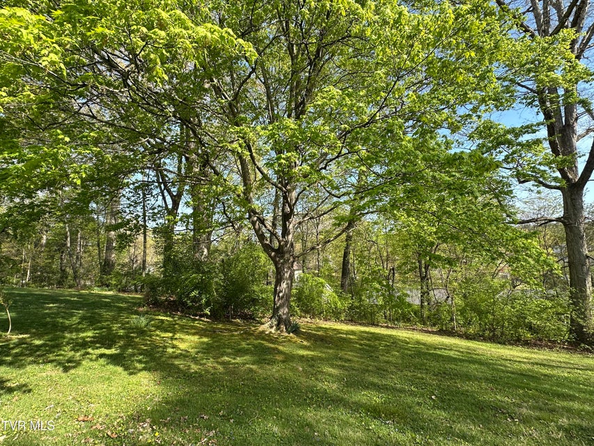 Photo #69: 245 De Lee Drive