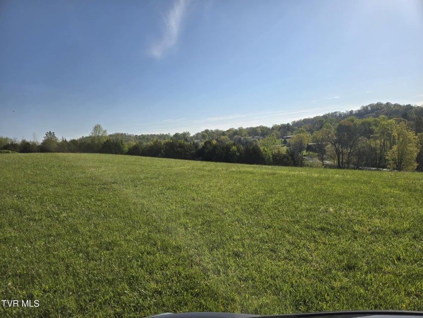Photo #10: 1995 Chuckey Highway