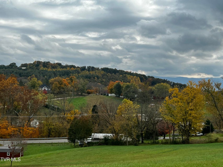 Photo #5: 1995 Chuckey Highway