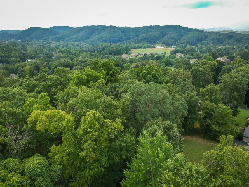 Photo #55: 485 Woodway Drive