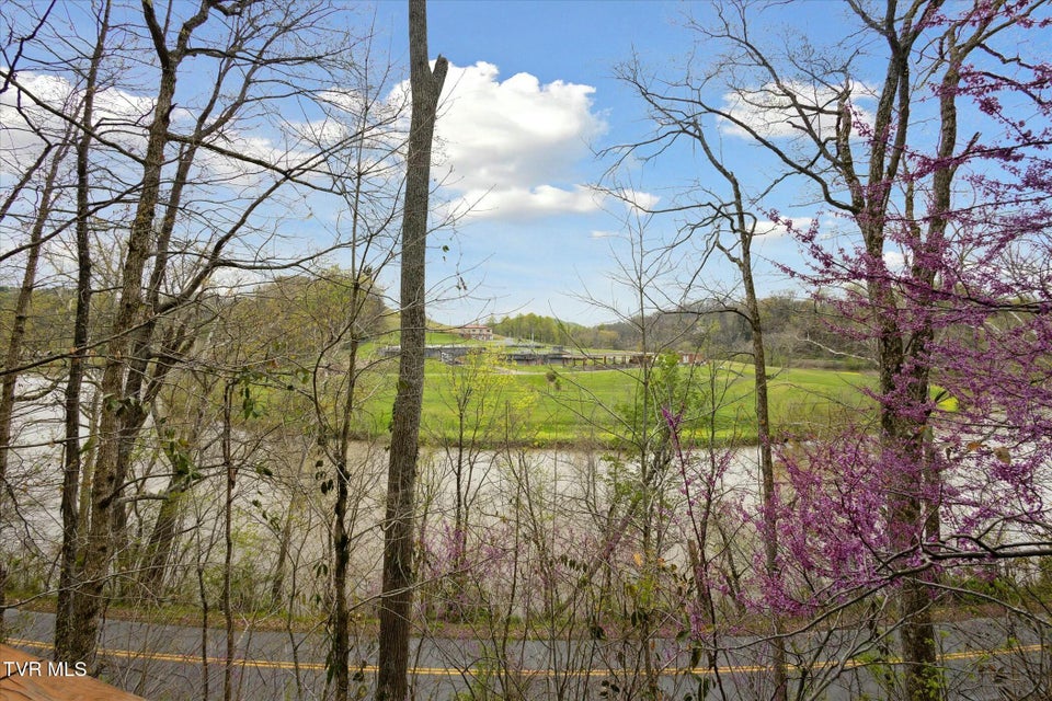 Photo #34: 265 Holston Drive Lane