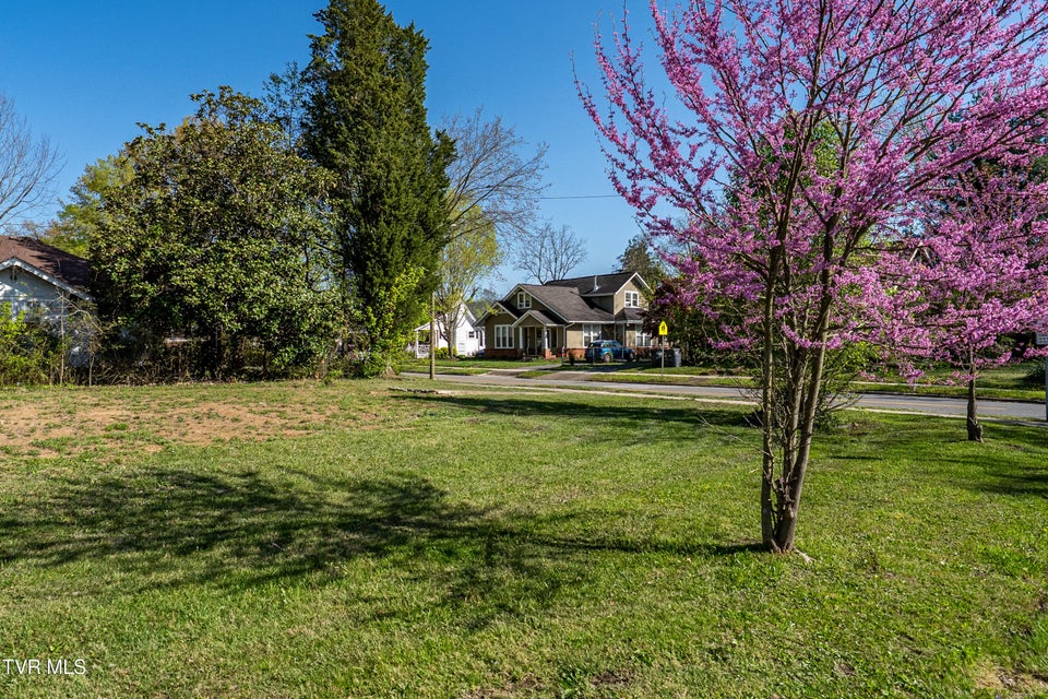 Photo #21: 1102 Catawba Street