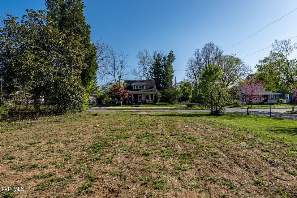 Photo #26: 1102 Catawba Street