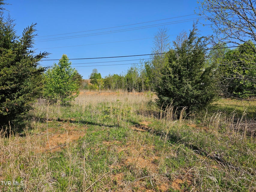 Photo #6: 1.81 Ac. Andrew Johnson Hwy. 