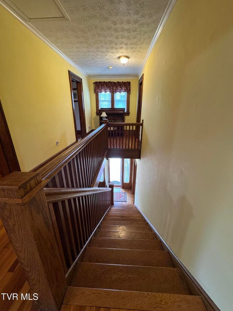 Photo #46: 2117 Alto Street