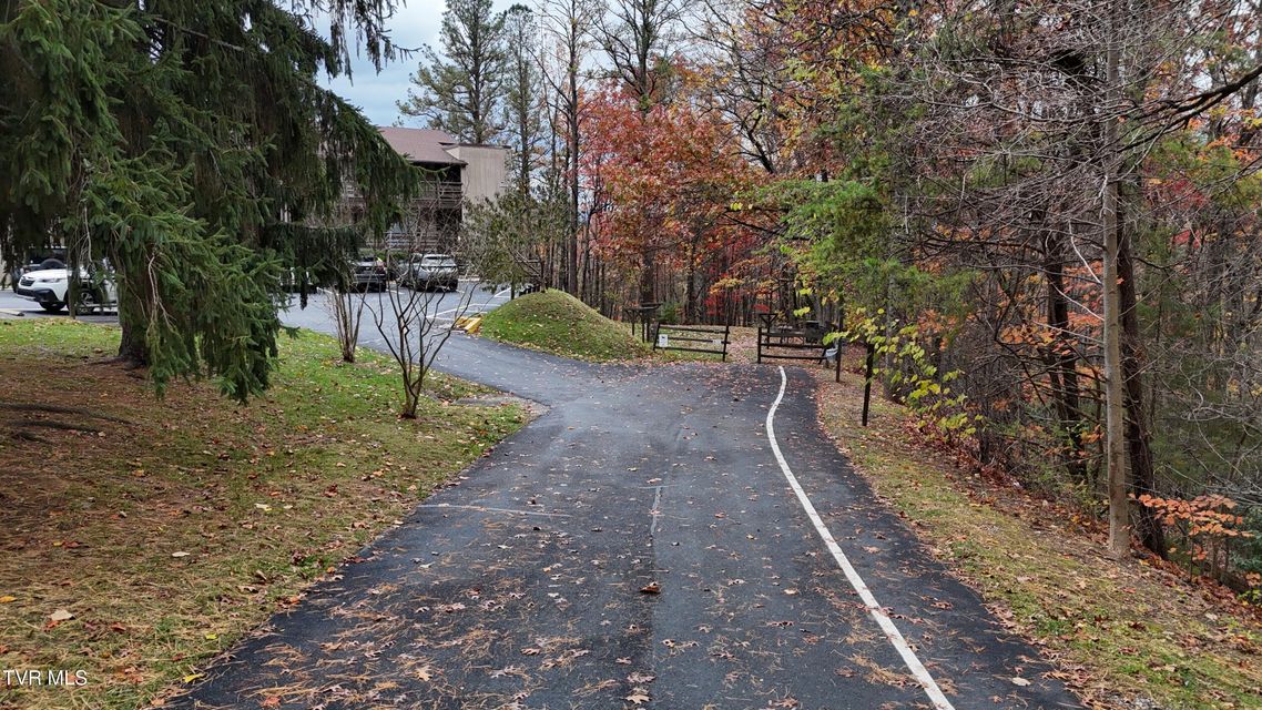 Photo #52: 1081 Cove Road