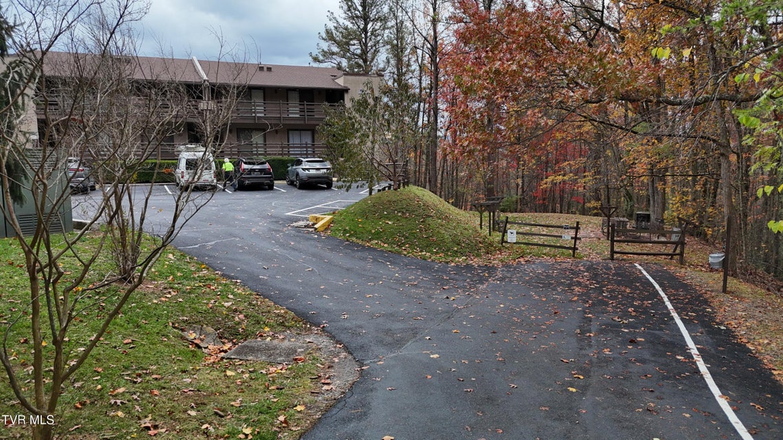Photo #53: 1081 Cove Road
