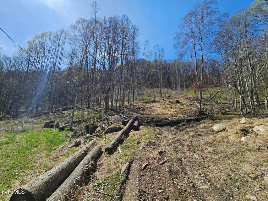 Photo #33: 149 Doty Road