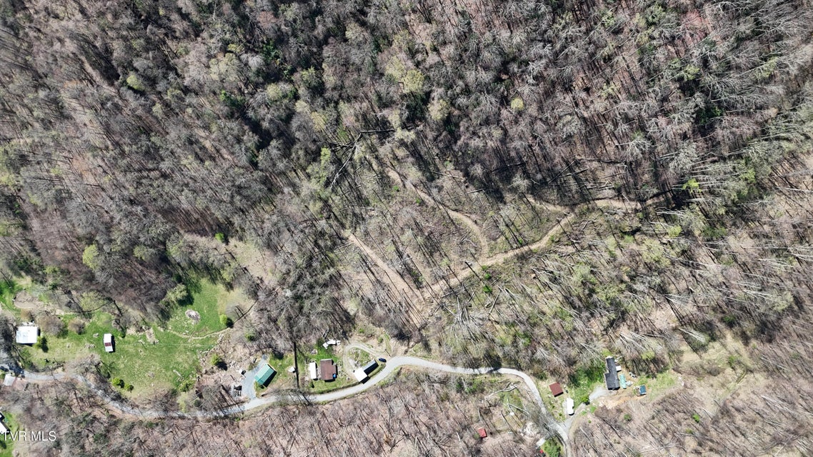 Photo #41: 149 Doty Road