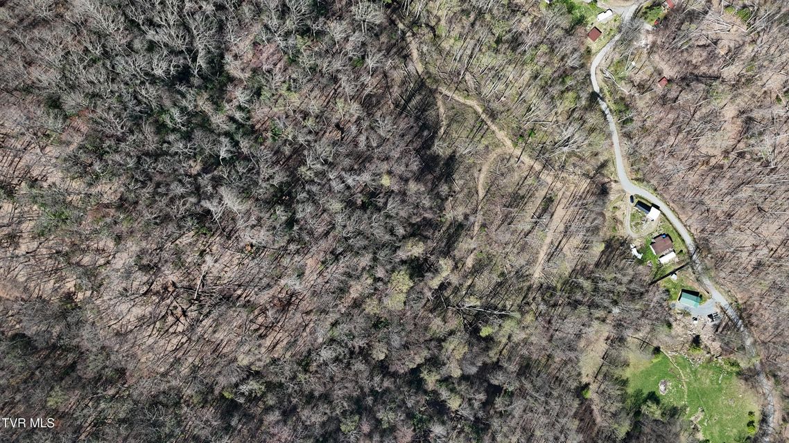 Photo #42: 149 Doty Road