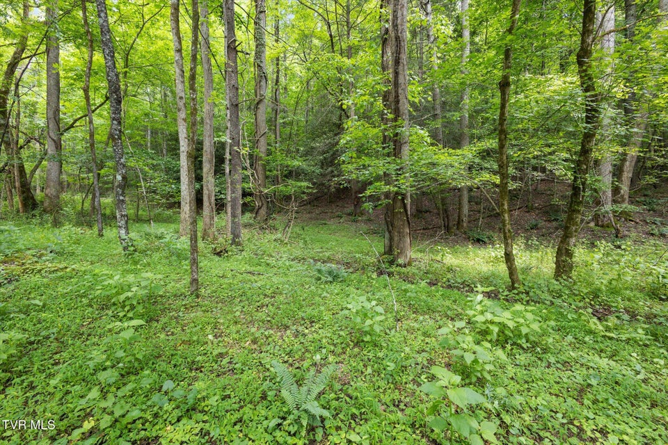 Photo #5: Tbd Rich Hollow Road