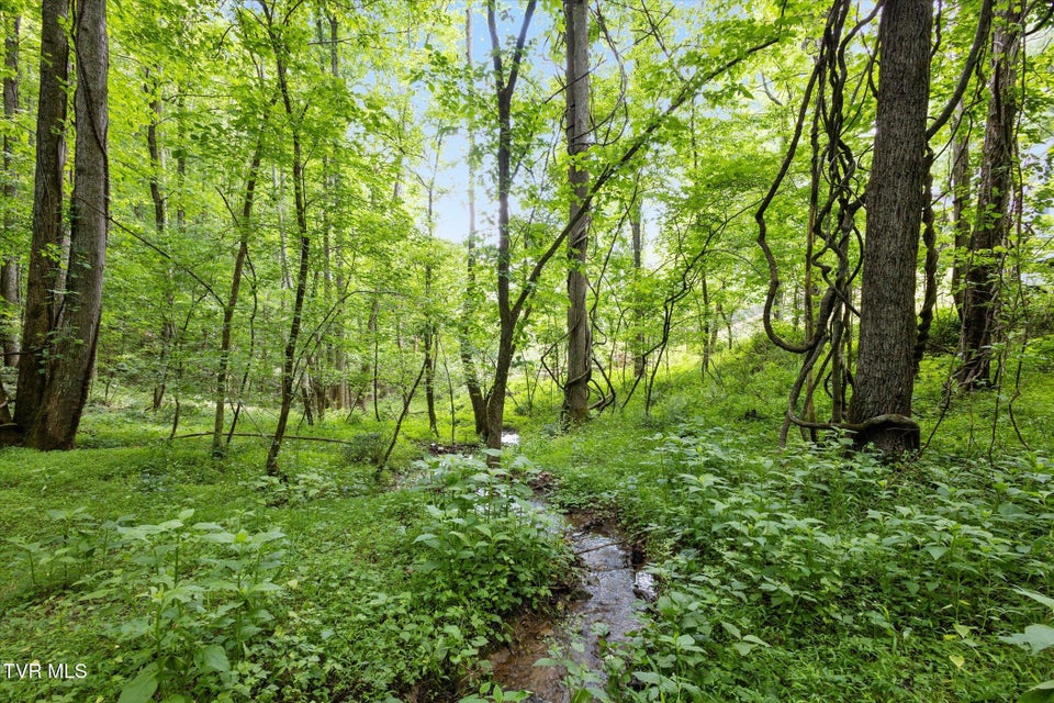 Photo #2: Tbd Rich Hollow Road