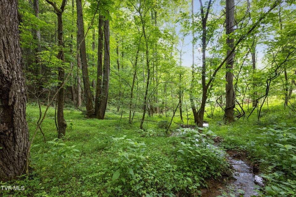 Photo #6: Tbd Rich Hollow Road