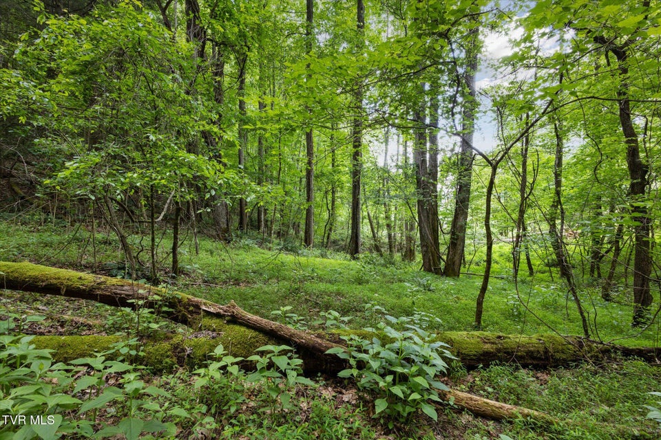 Photo #8: Tbd Rich Hollow Road
