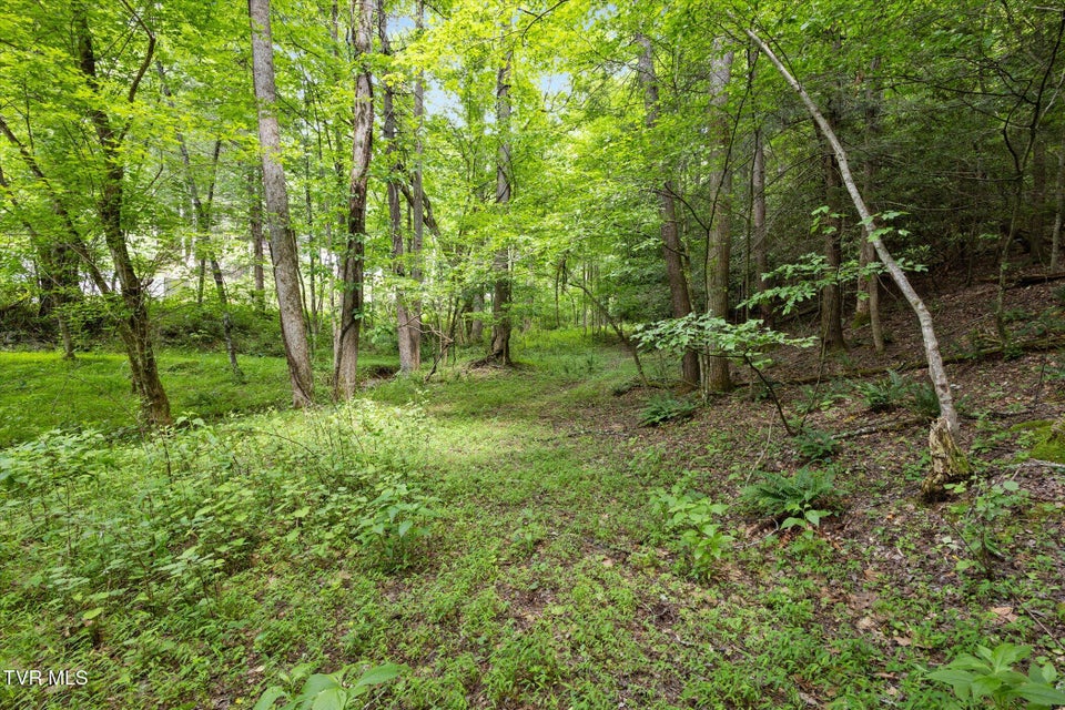 Photo #9: Tbd Rich Hollow Road