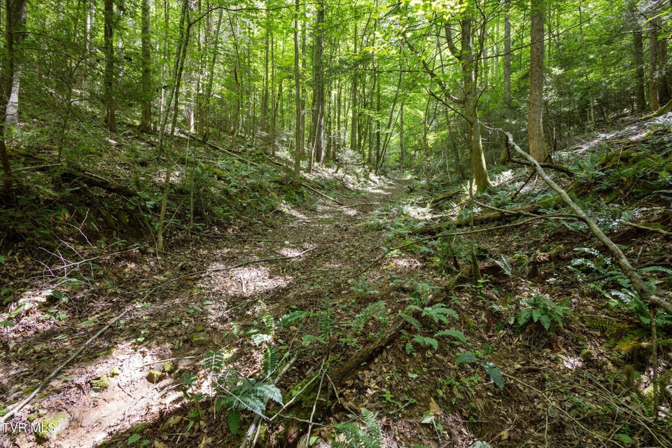Photo #15: Tbd Rich Hollow Road