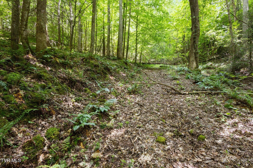 Photo #17: Tbd Rich Hollow Road