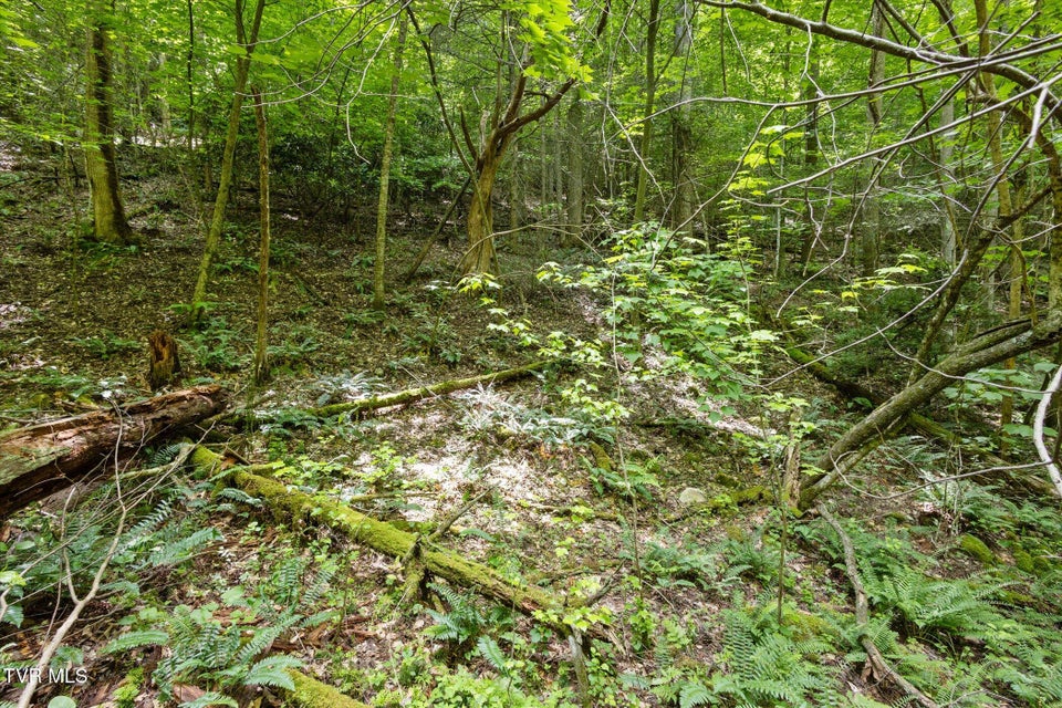 Photo #21: Tbd Rich Hollow Road