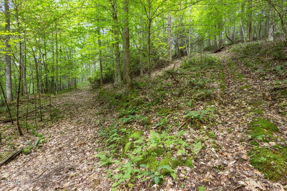 Photo #28: Tbd Rich Hollow Road